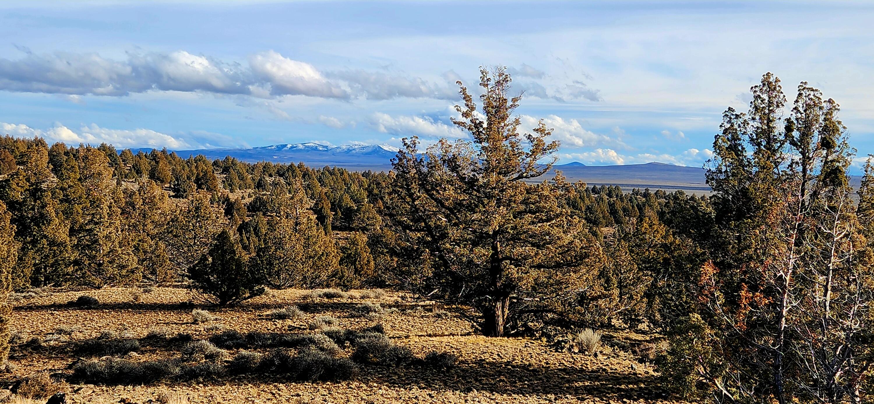 Merrill Road, Unit TL 1800 Prineville, OR 97754 - Photo 4 of 16 320ac_Img5