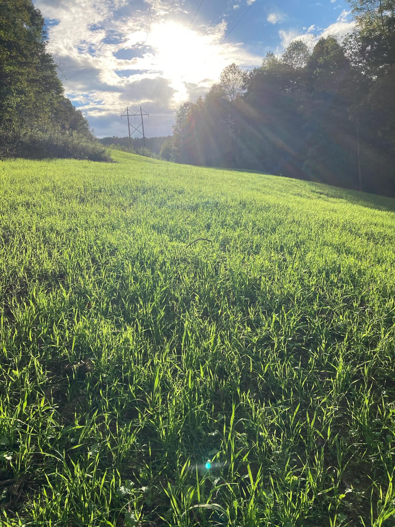 156 Mohawk Road Mount Vernon, KY 40456 - Photo 2 of 34 872120A1-15AC-43B5-9061-87B86587EB31
