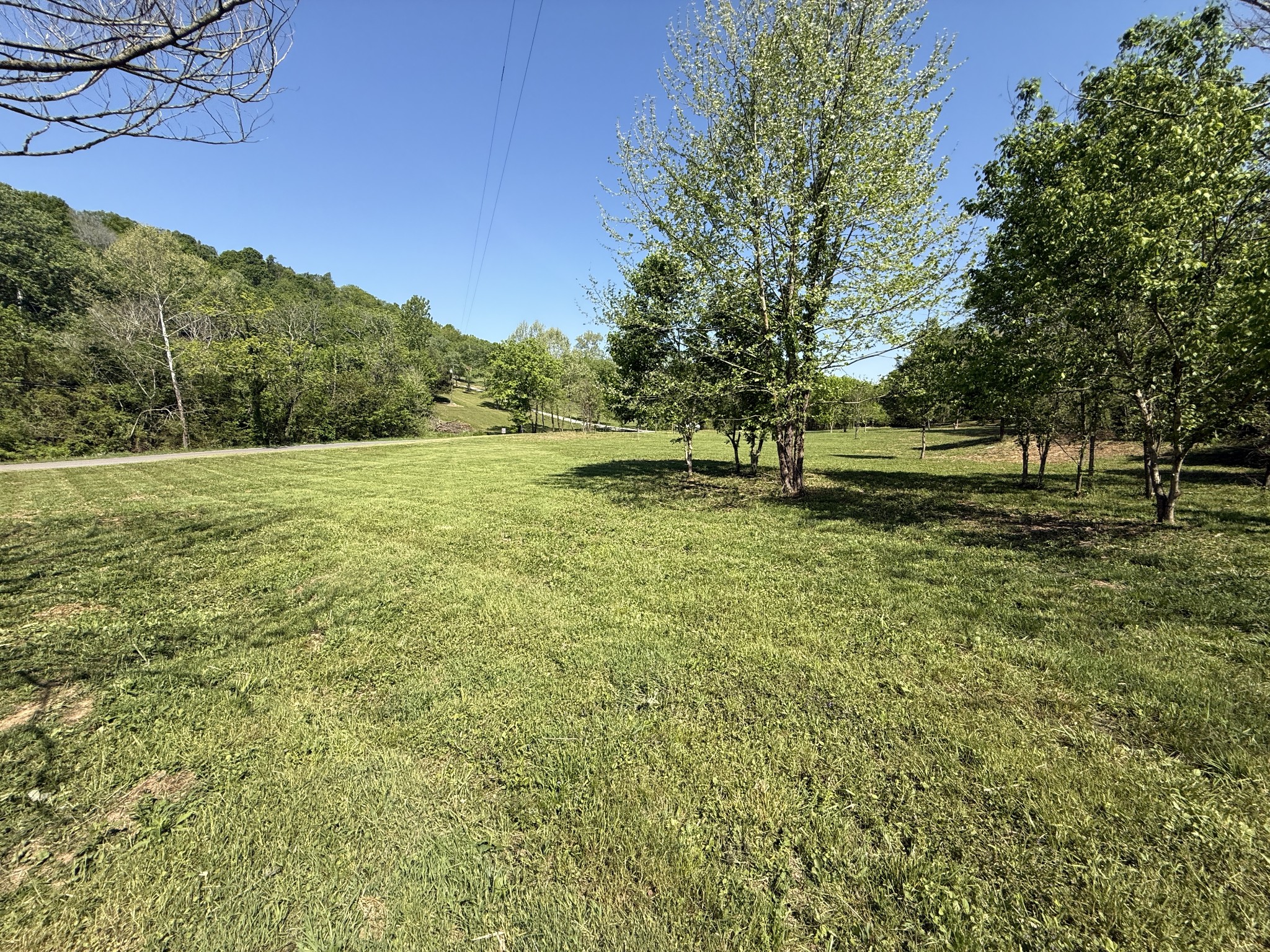 0 Rogues Fork Road Bethpage, TN 37022 - Photo 3 of 16