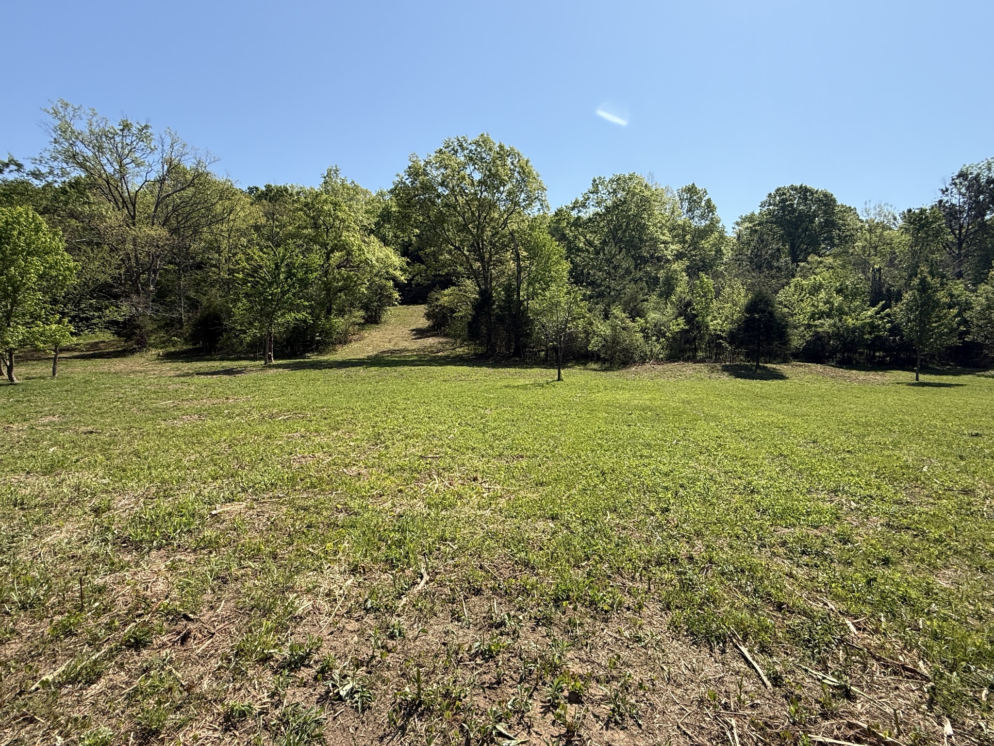 0 Rogues Fork Road Bethpage, TN 37022 - Photo 4 of 16