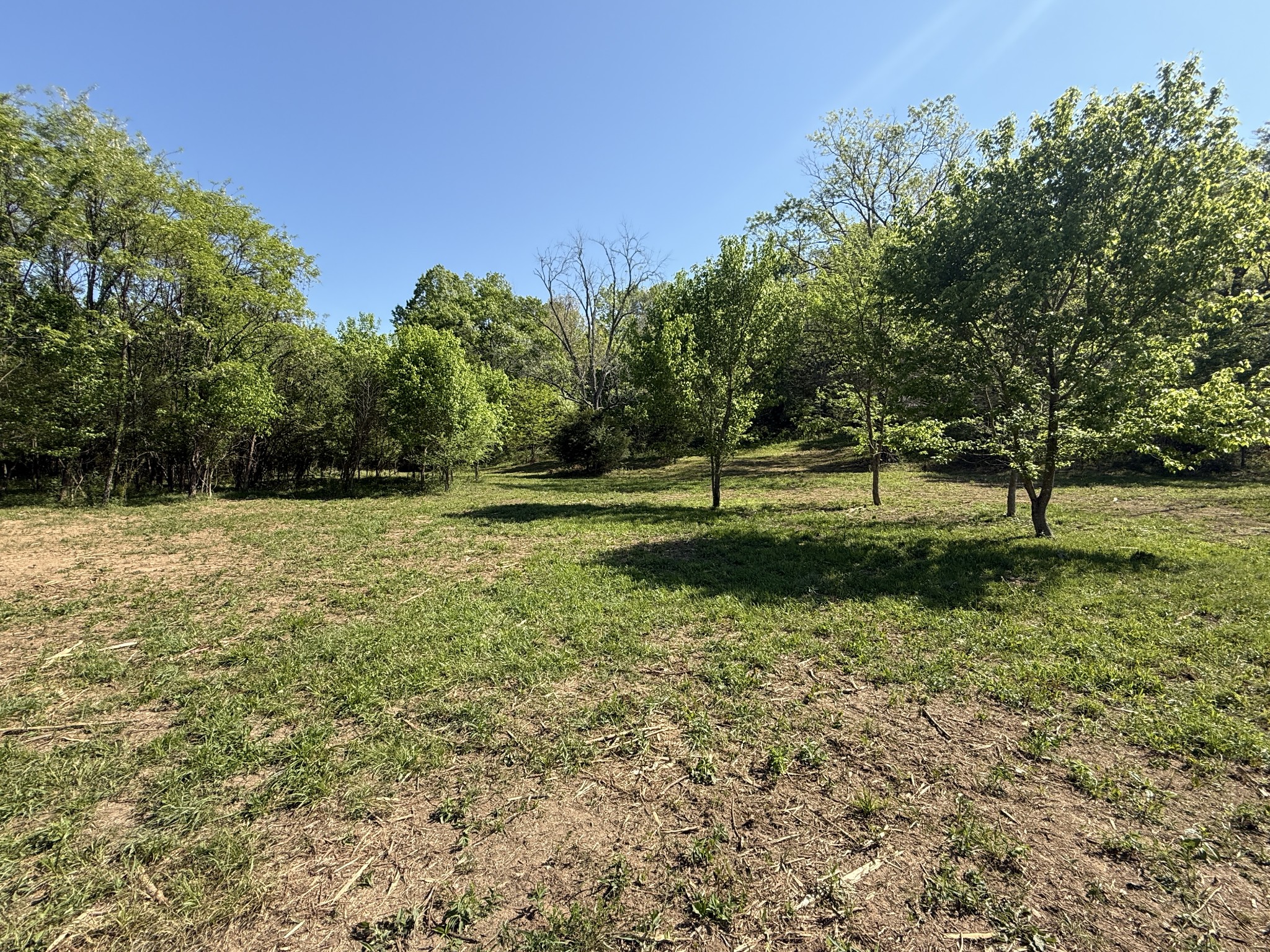 0 Rogues Fork Road Bethpage, TN 37022 - Photo 6 of 16