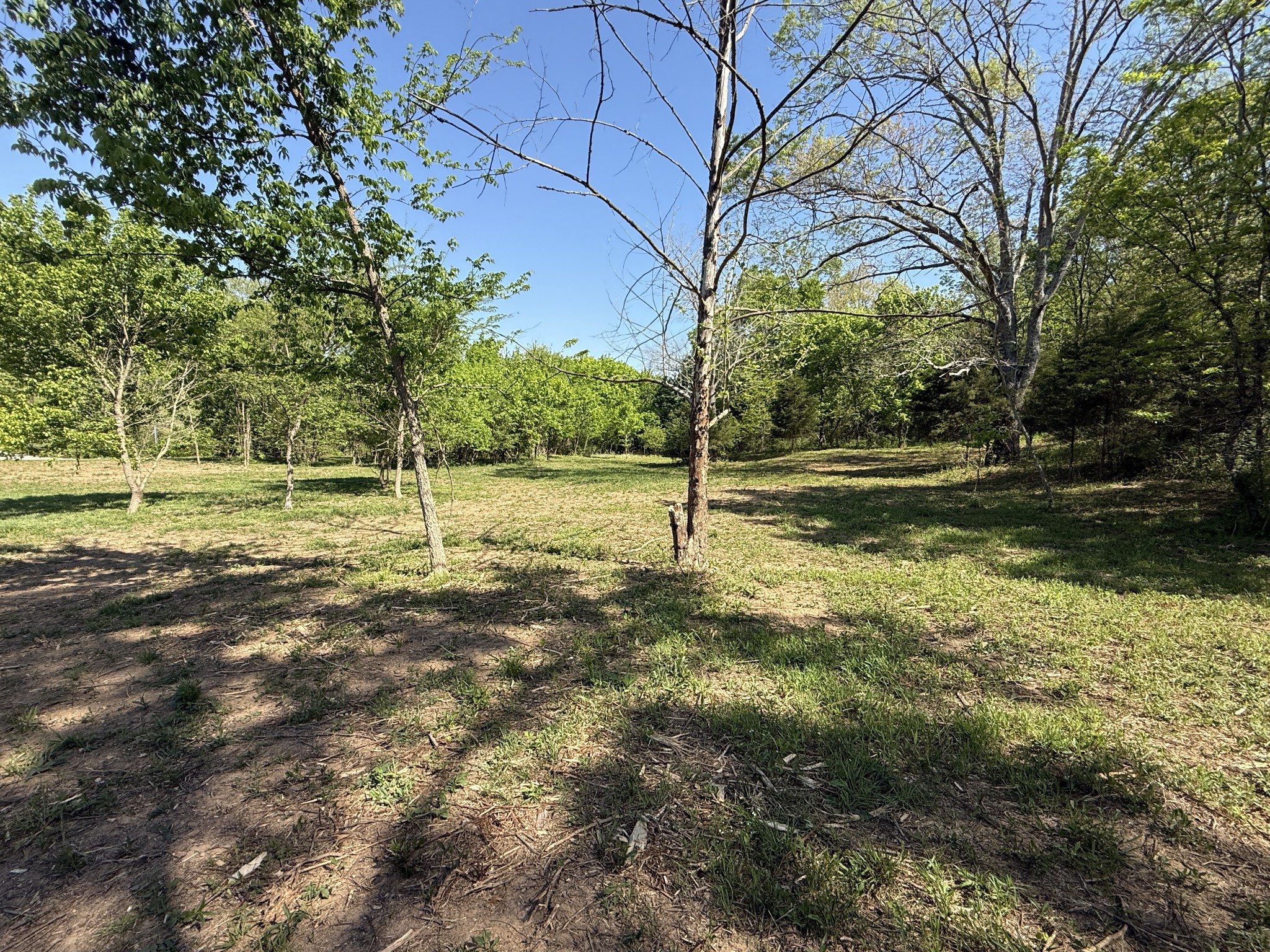 0 Rogues Fork Road Bethpage, TN 37022 - Photo 7 of 16