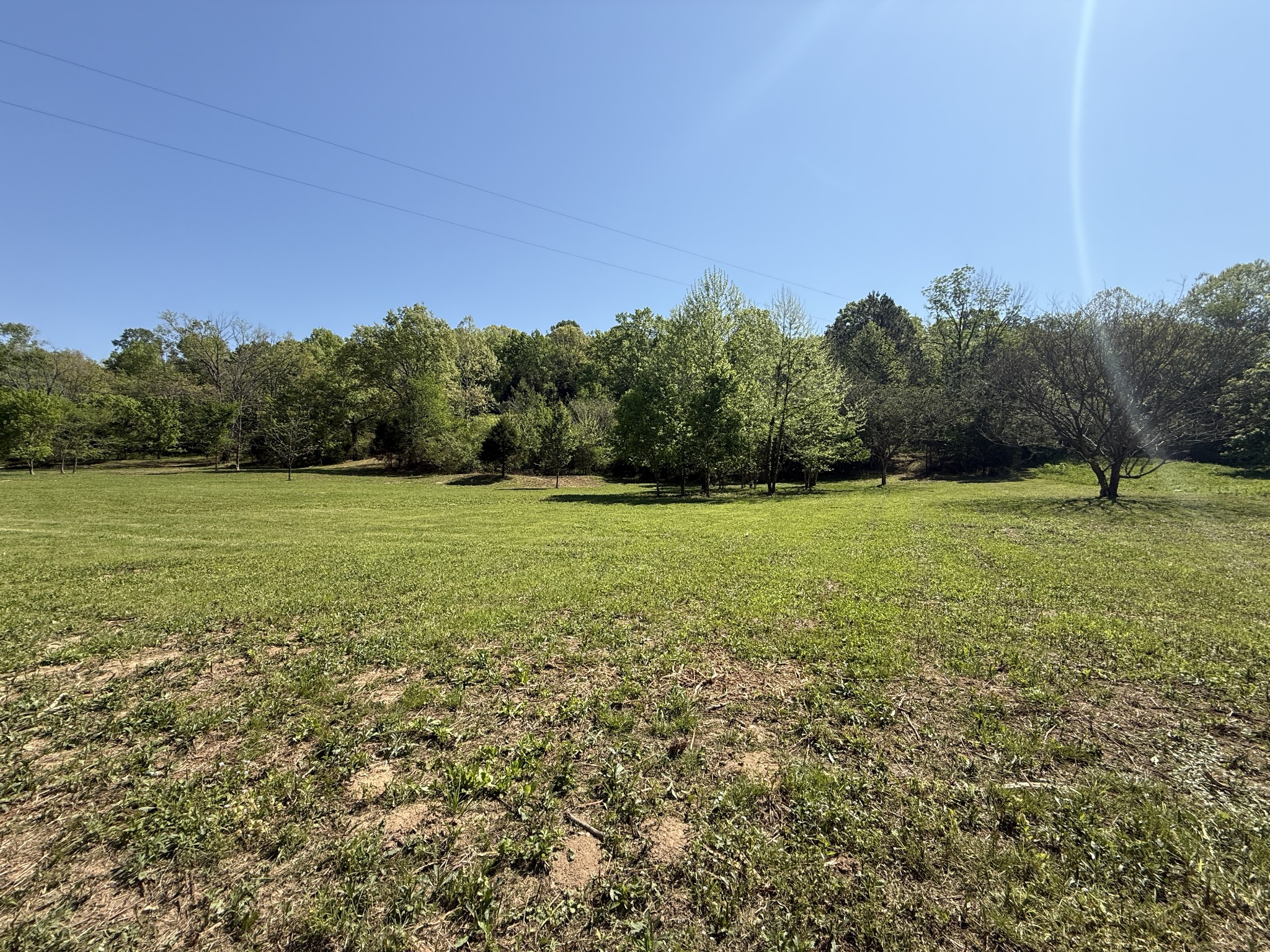 0 Rogues Fork Road Bethpage, TN 37022 - Photo 8 of 16