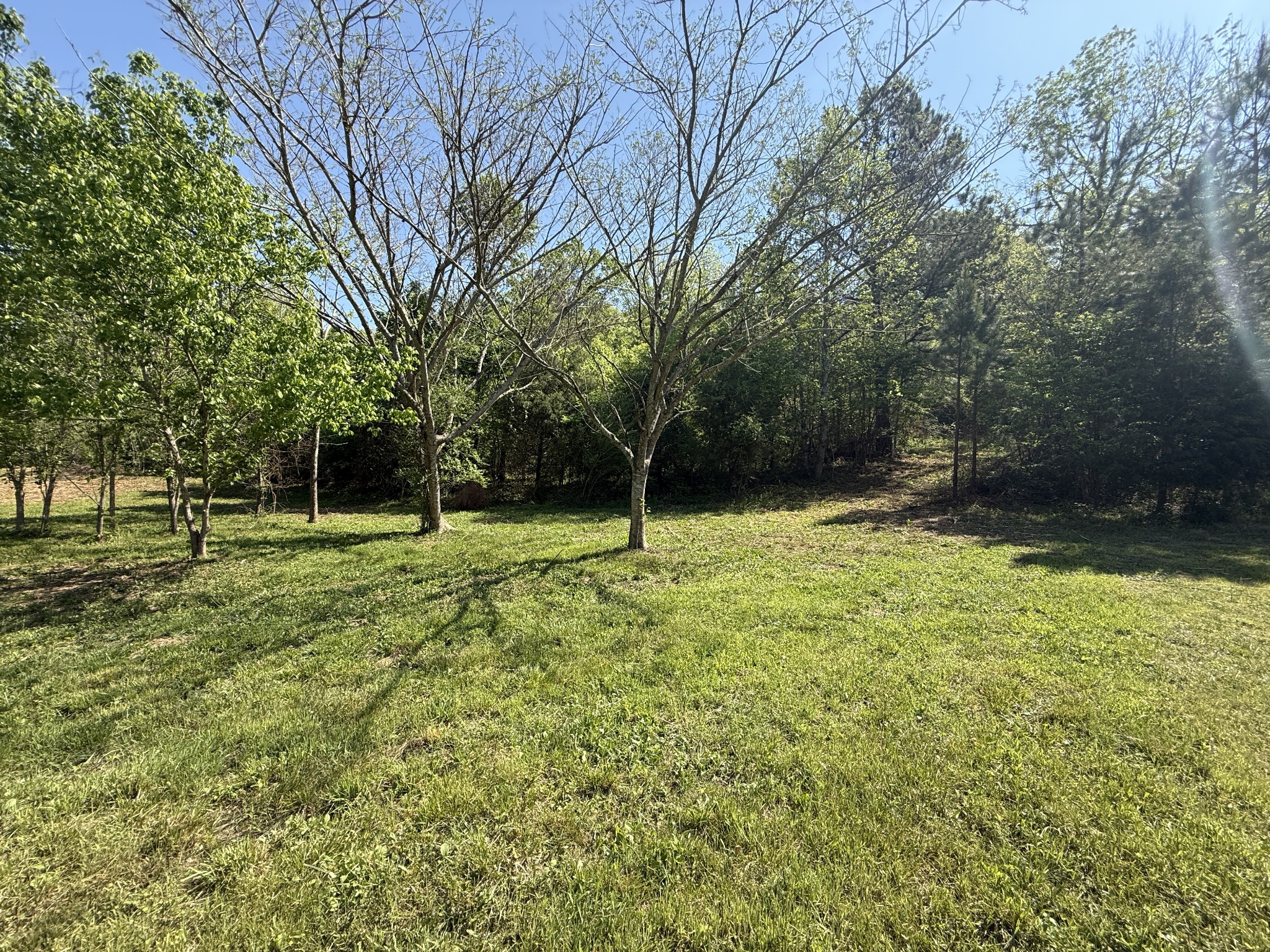 0 Rogues Fork Road Bethpage, TN 37022 - Photo 9 of 16