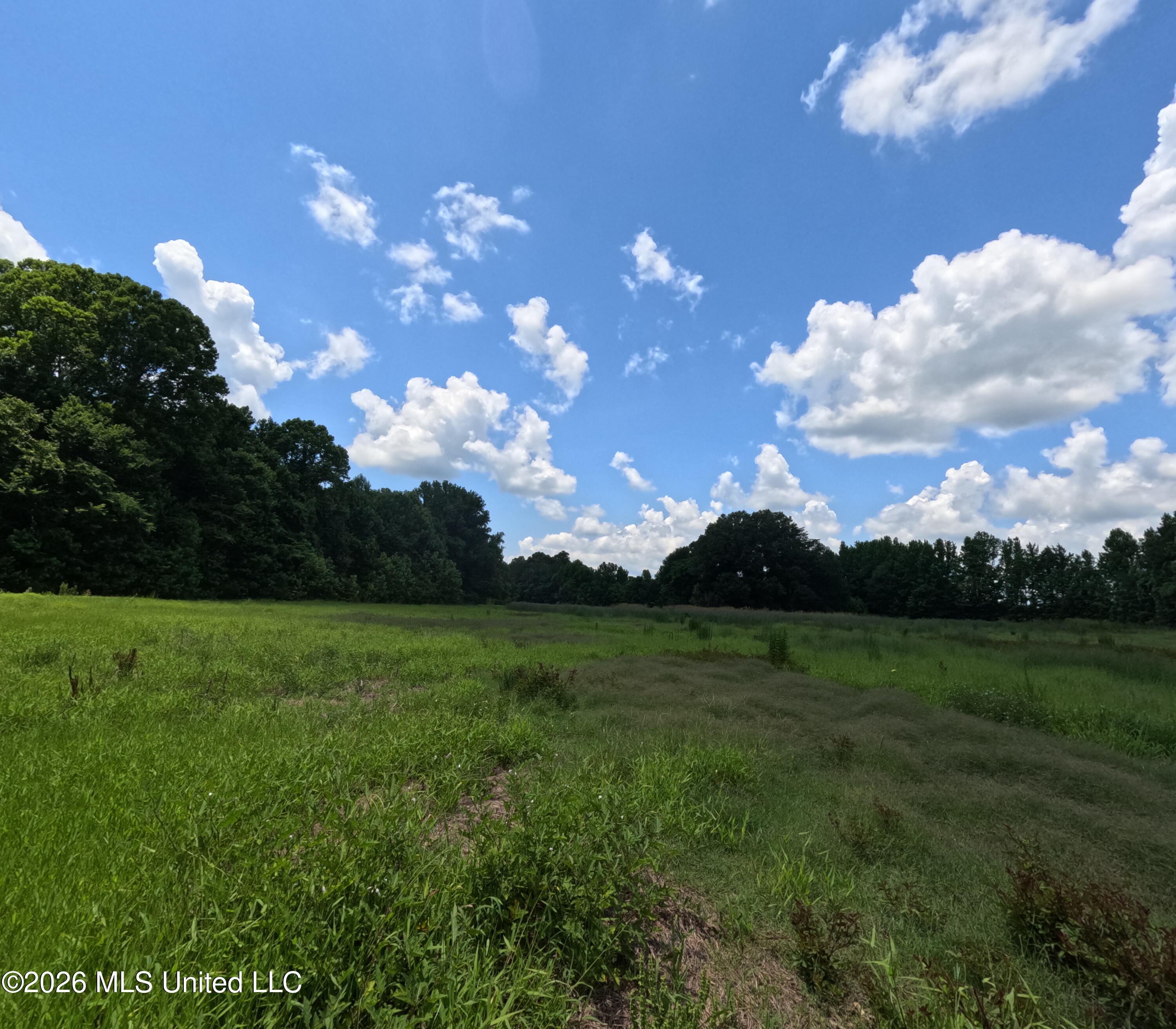 Old Port Edwards, MS 39066 - Photo 10 of 65 GOPR2275