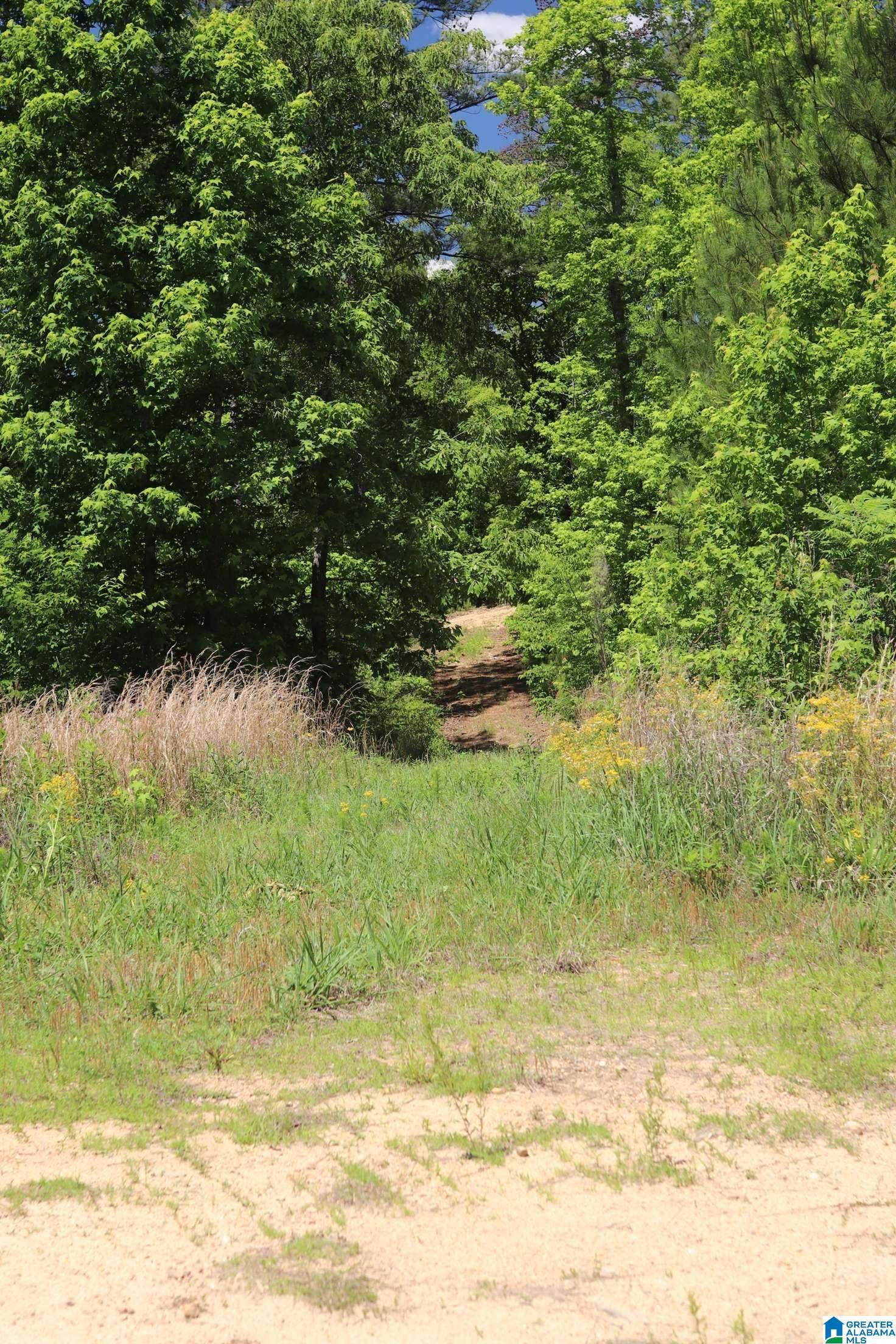 2930 Shocco Springs Road Talladega, AL 35160 - Photo 76 of 93