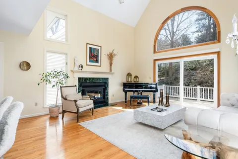 a living room with furniture a fireplace and a potted plant