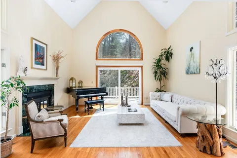 a living room with furniture a fireplace and a potted plant