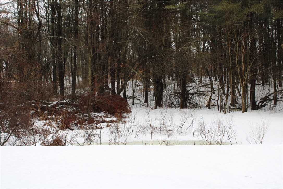 7601 Strutt Street Springwater, NY 14572 - Photo 18 of 25