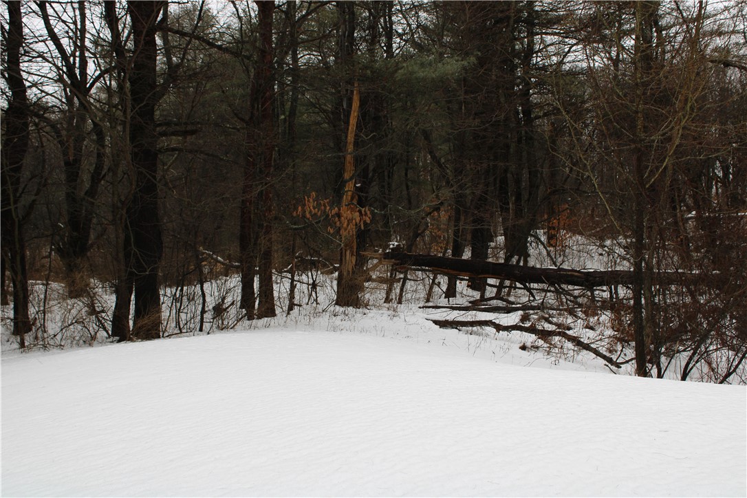 7601 Strutt Street Springwater, NY 14572 - Photo 19 of 25