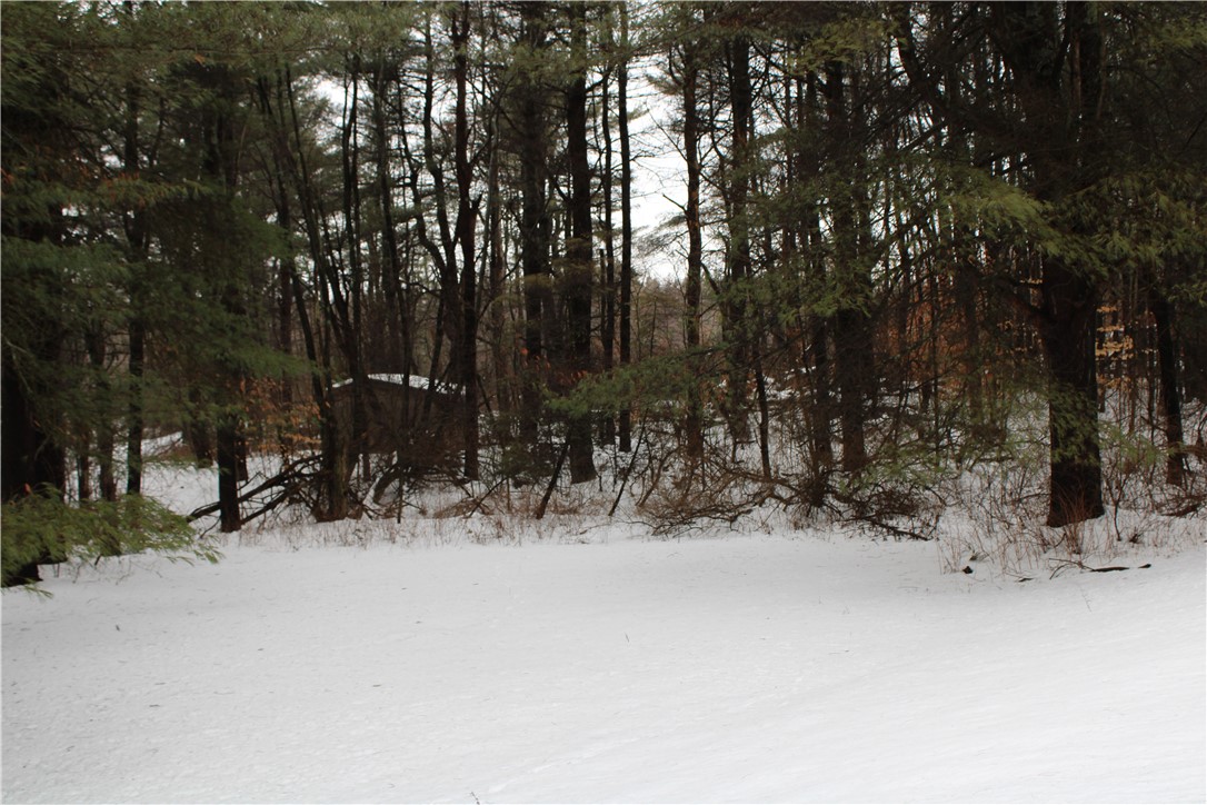 7601 Strutt Street Springwater, NY 14572 - Photo 20 of 25