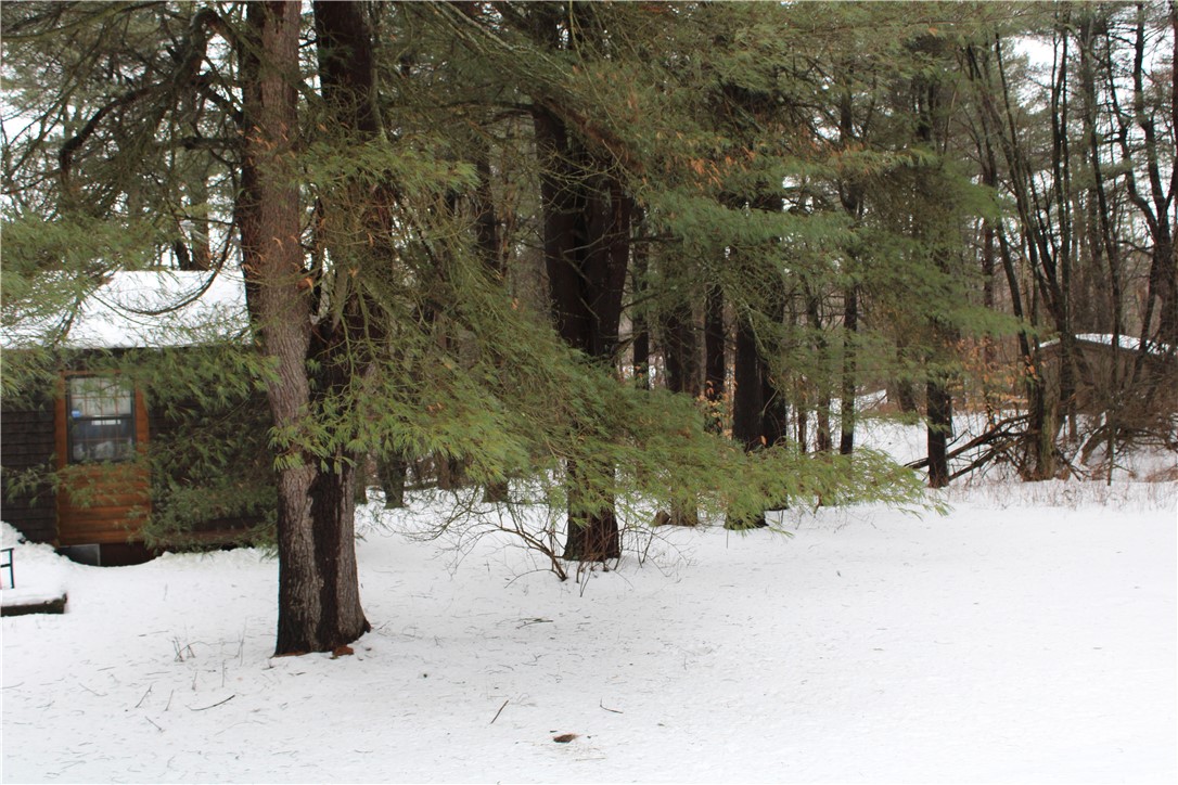 7601 Strutt Street Springwater, NY 14572 - Photo 21 of 25