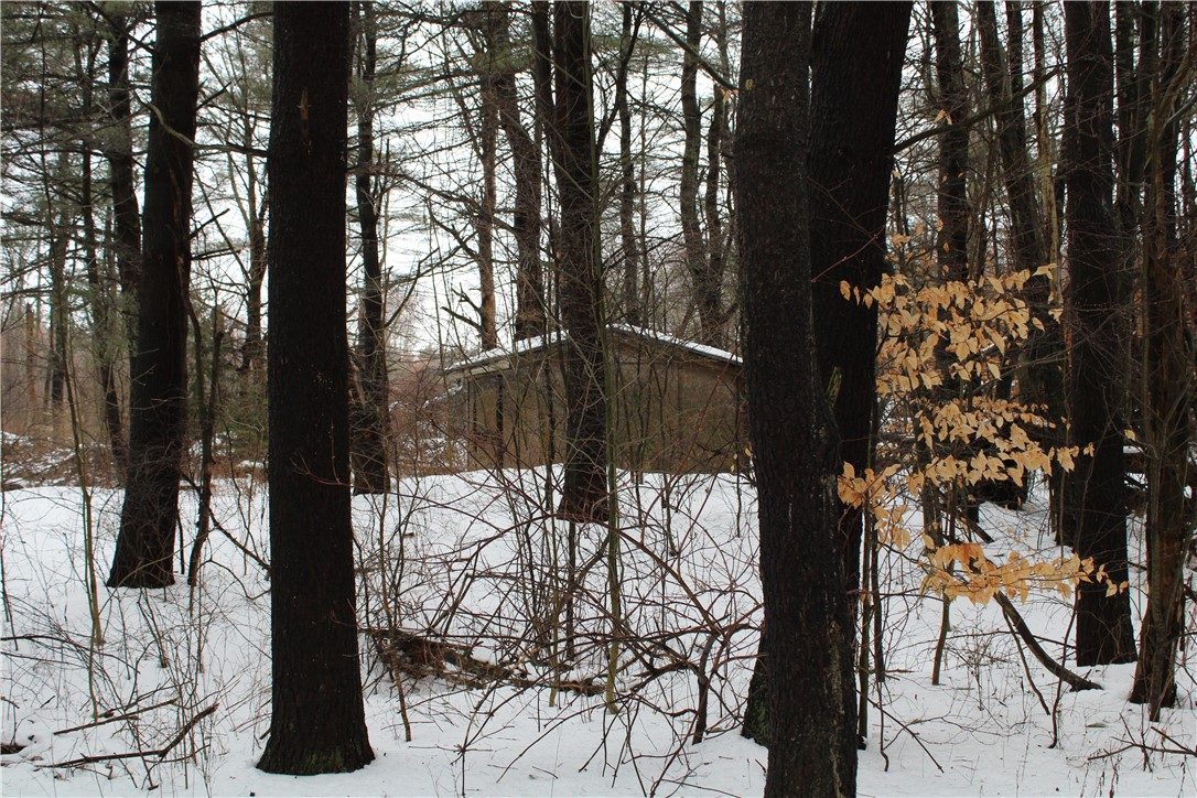 7601 Strutt Street Springwater, NY 14572 - Photo 23 of 25