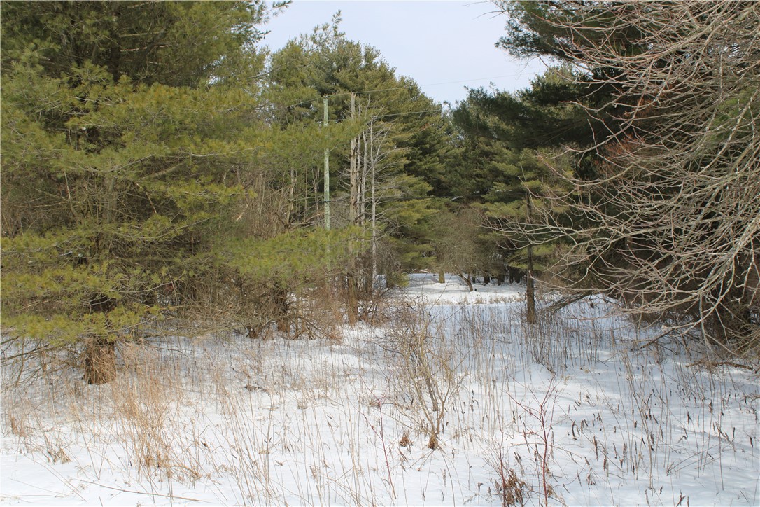 7601 Strutt Street Springwater, NY 14572 - Photo 25 of 25