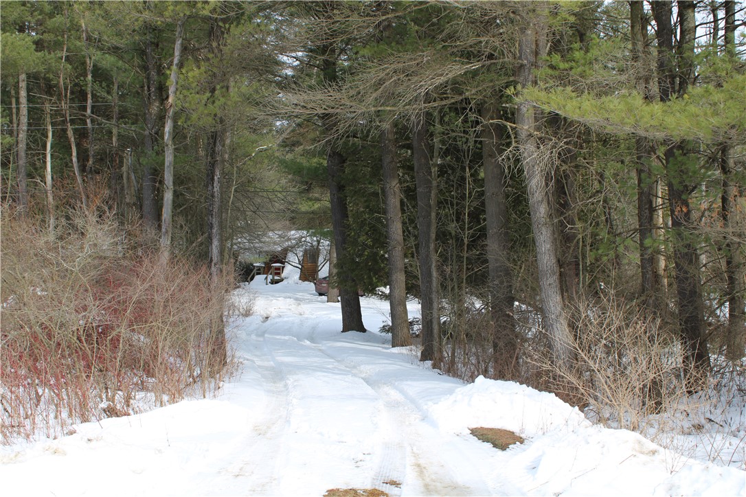 7601 Strutt Street Springwater, NY 14572 - Photo 3 of 25