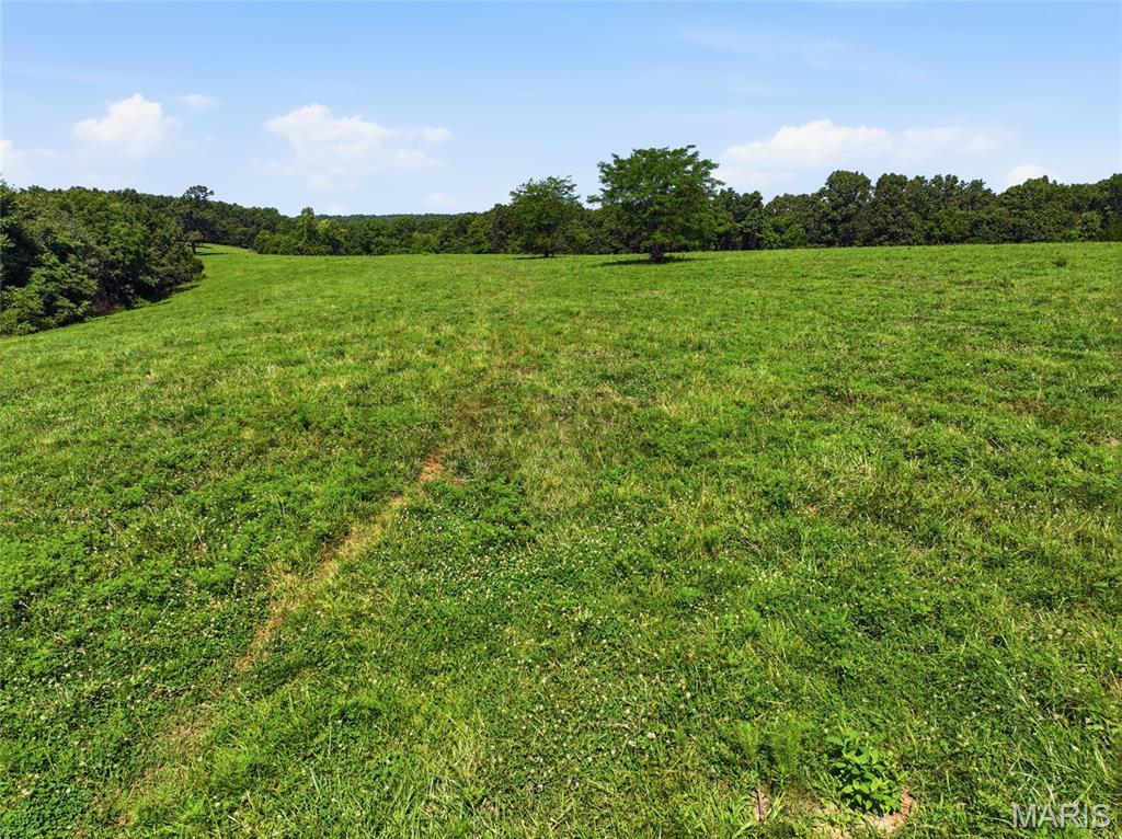 0 Cardinal Road Dixon, MO 65459 - Photo 26 of 55 Gallery Image 26