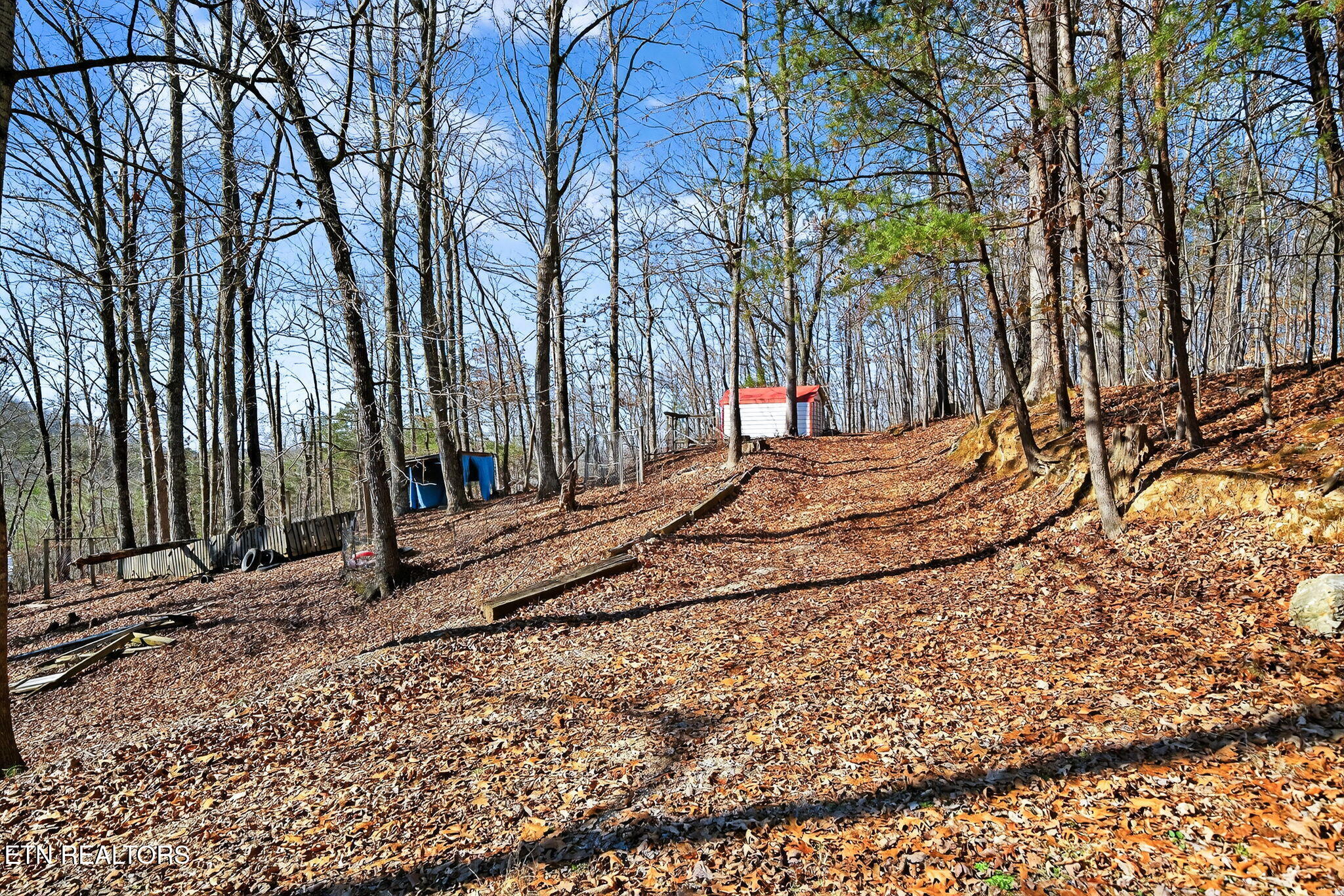 1296 Paint Rock Road Kingston, TN 37763 - Photo 32 of 34 5-web-or-mls-1296 Paint Rock Rd_020_TNPC