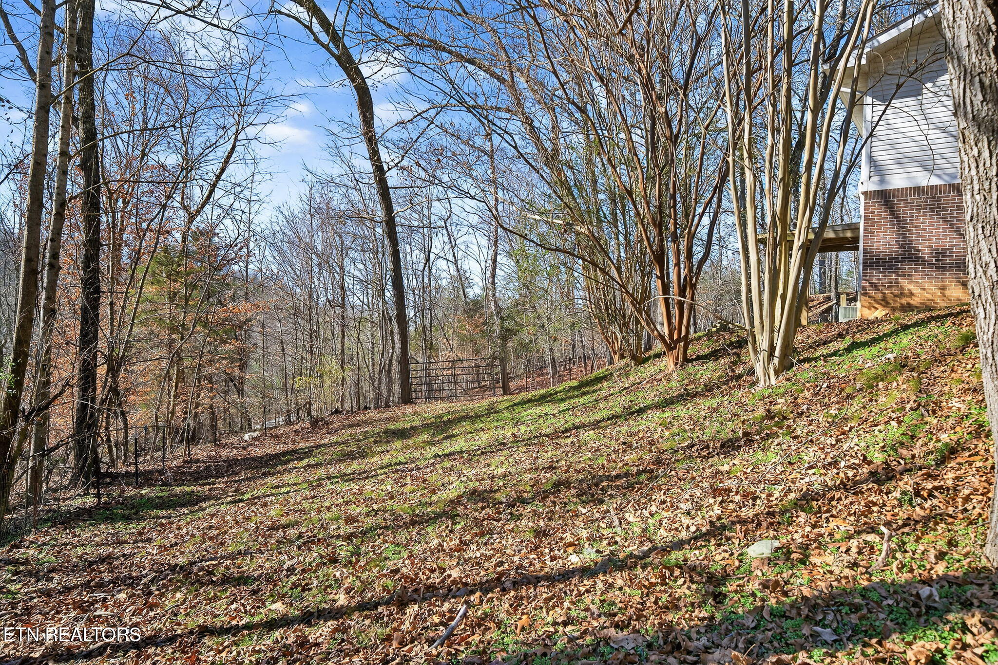 1296 Paint Rock Road Kingston, TN 37763 - Photo 34 of 34 9-web-or-mls-1296 Paint Rock Rd_044_TNPC