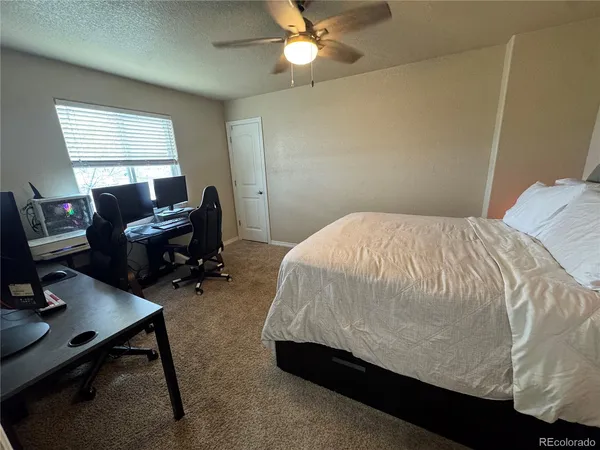 $2,495 | 2384 Sierra Springs Drive, Colorado Springs, CO 80916