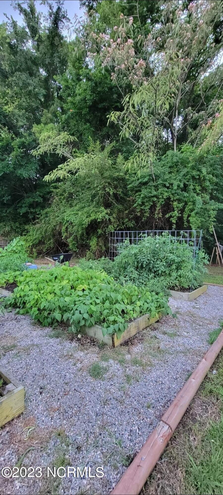 534 Soundside Road Edenton, NC 27932 - Photo 34 of 34 Summertime pic of garden (seller provided)