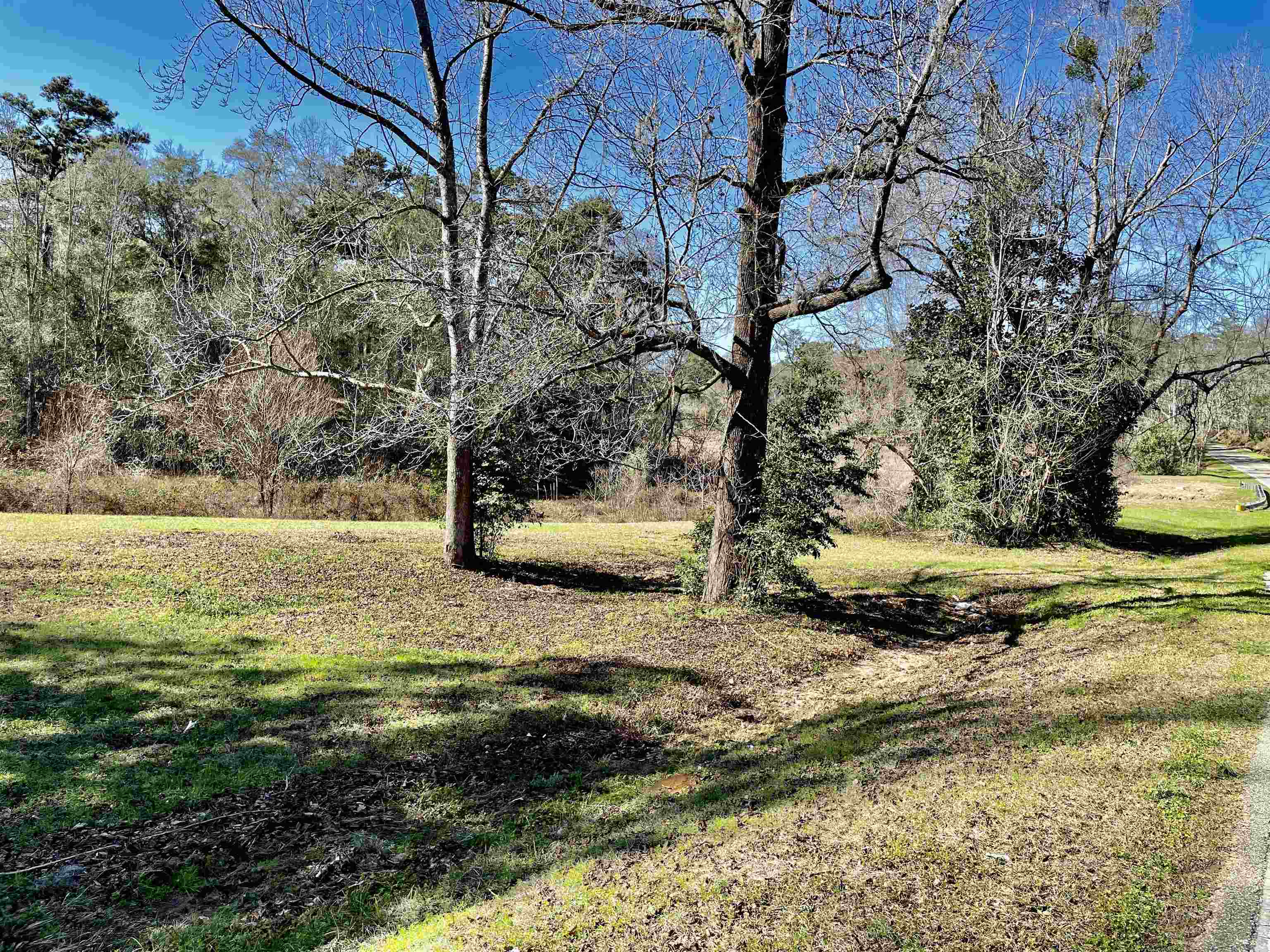 Tbd Tbd Glory Road Quincy, FL 32352 - Photo 15 of 18 Gallery Image 15