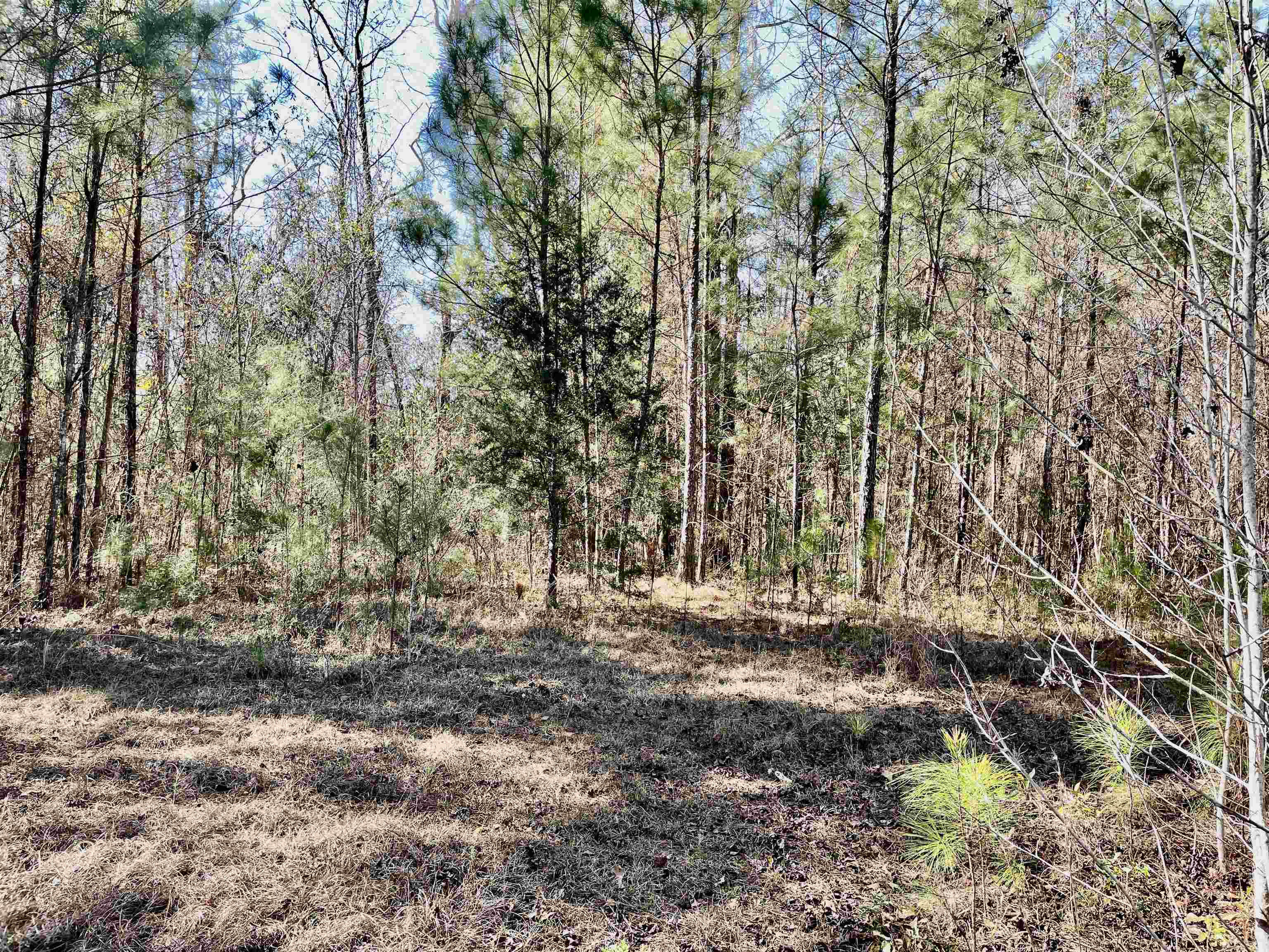 Tbd Tbd Glory Road Quincy, FL 32352 - Photo 2 of 18 Gallery Image 2