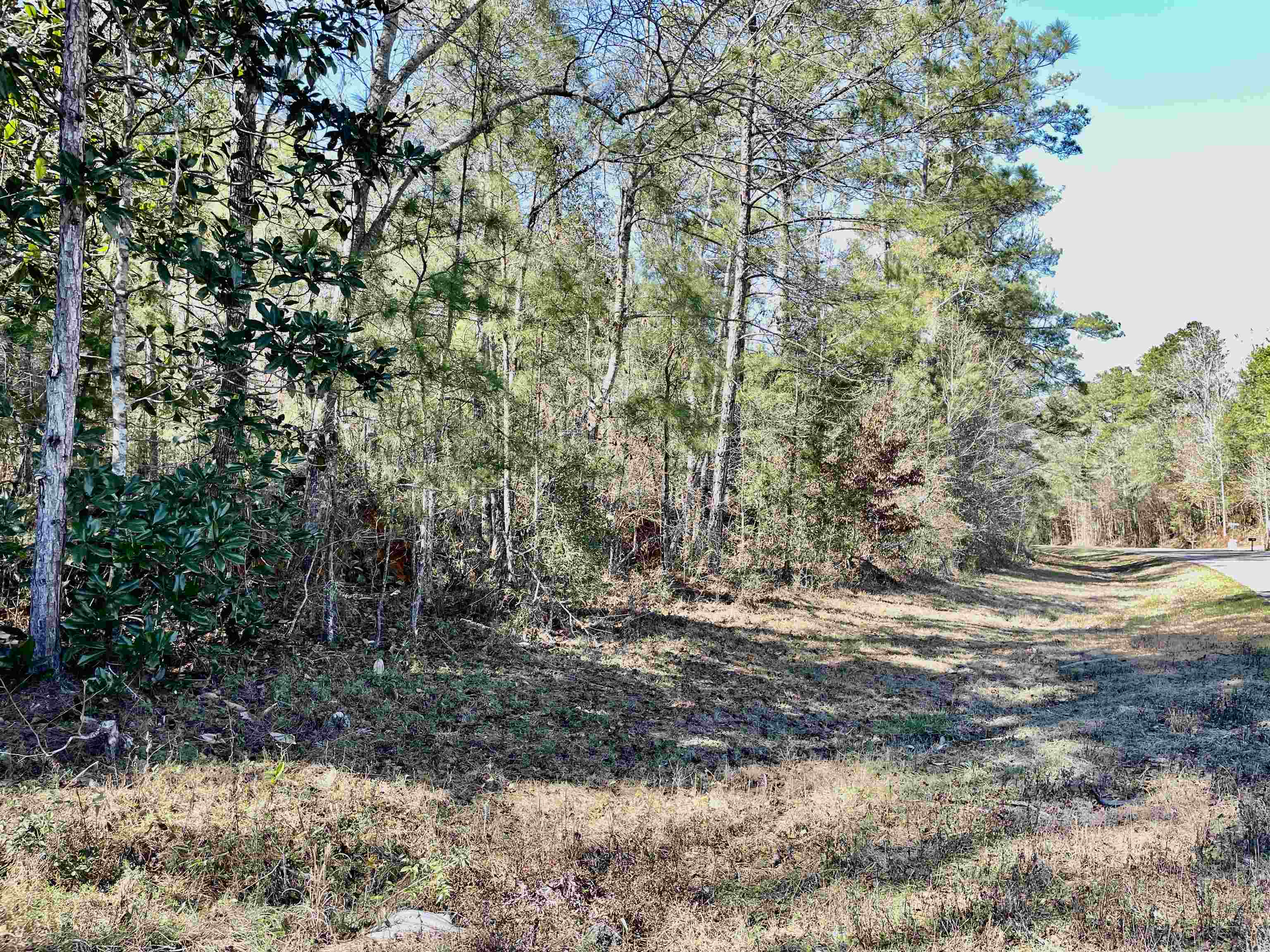 Tbd Tbd Glory Road Quincy, FL 32352 - Photo 5 of 18 Gallery Image 5