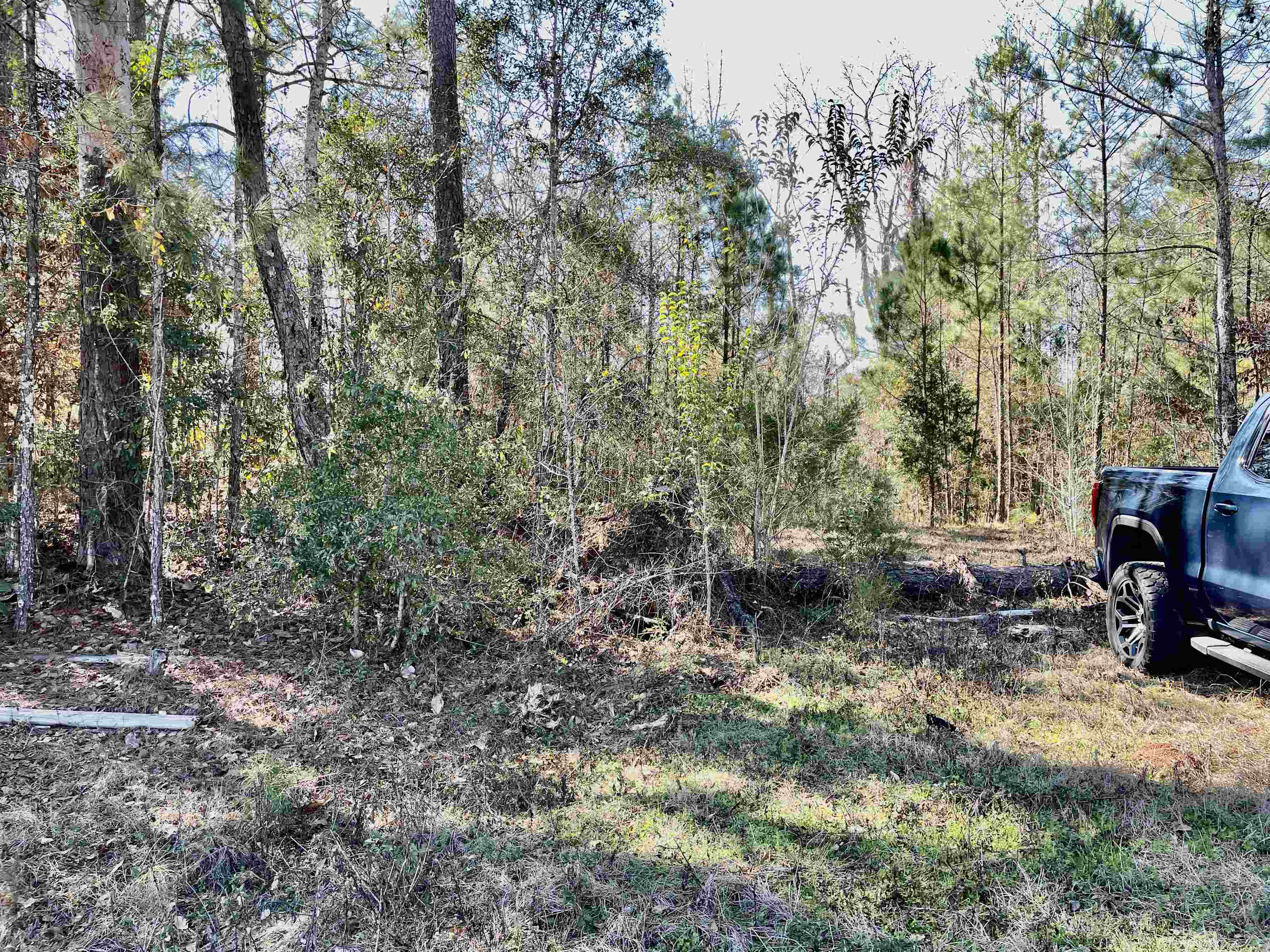 Tbd Tbd Glory Road Quincy, FL 32352 - Photo 7 of 18 Gallery Image 7