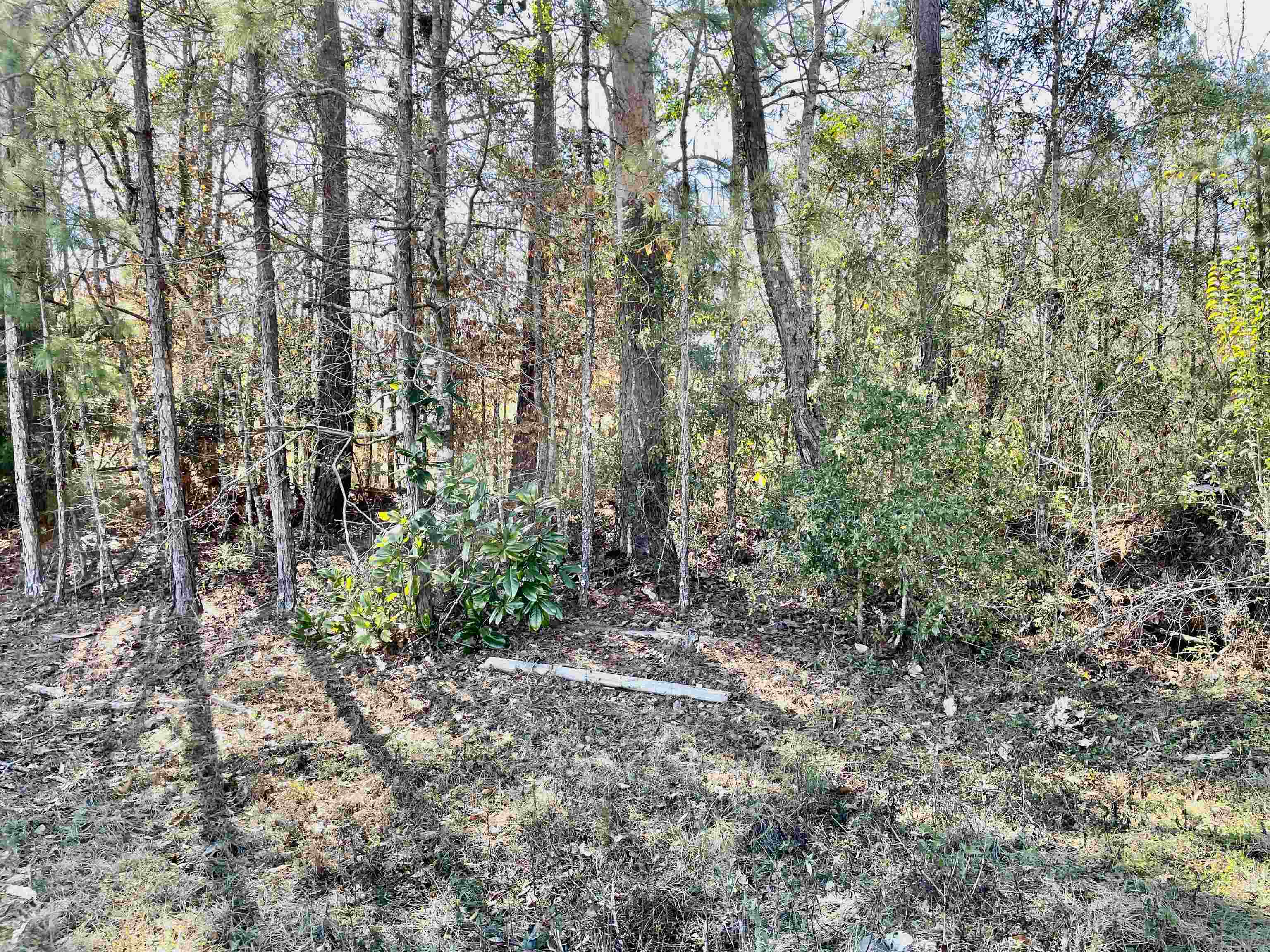 Tbd Tbd Glory Road Quincy, FL 32352 - Photo 8 of 18 Gallery Image 8