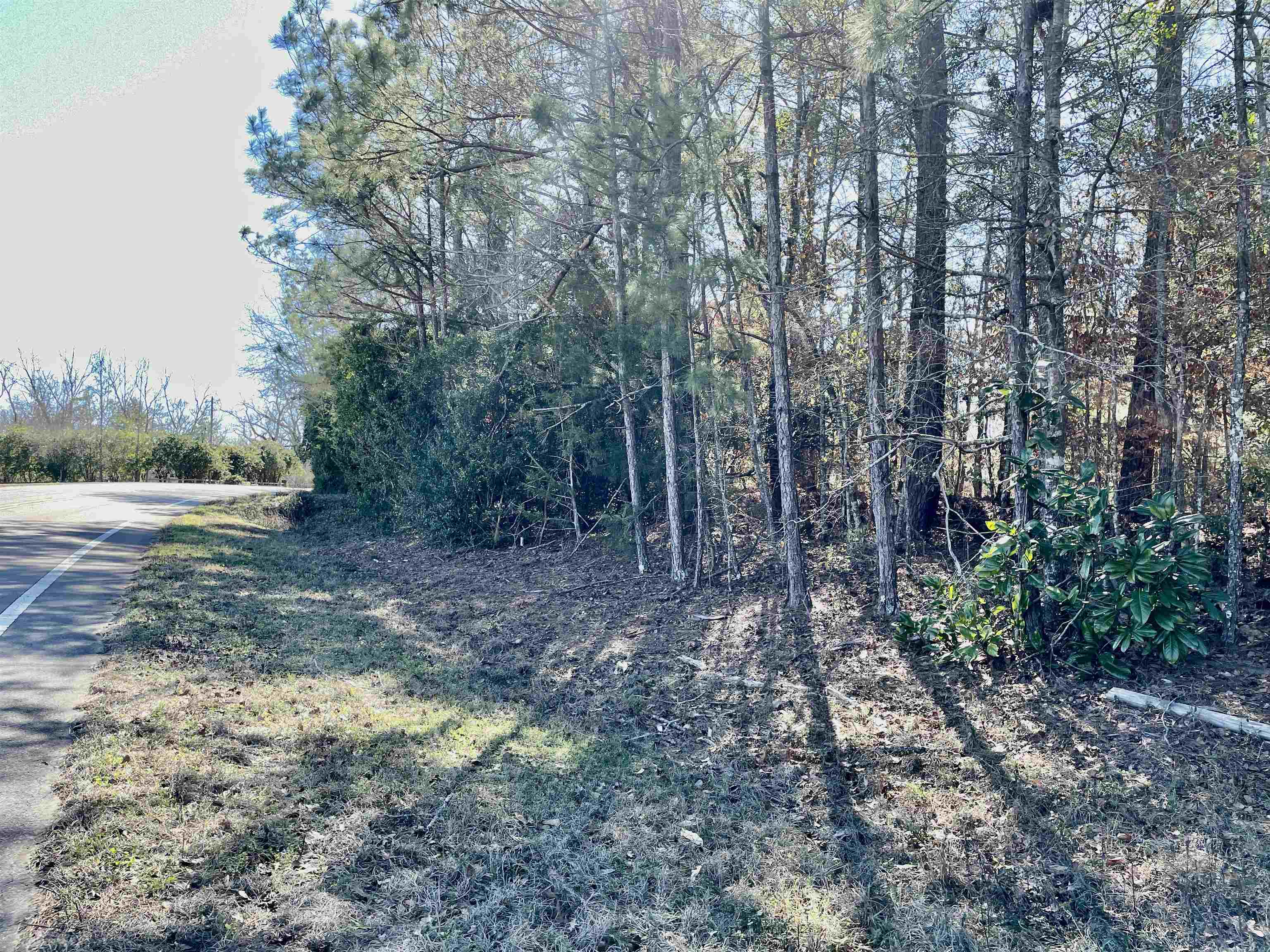 Tbd Tbd Glory Road Quincy, FL 32352 - Photo 9 of 18 Gallery Image 9