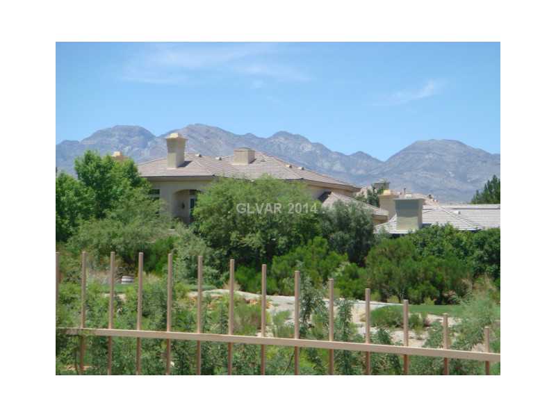 905 Collingtree Street Las Vegas, NV 89145 - Photo 29 of 35 View. Mountain Views