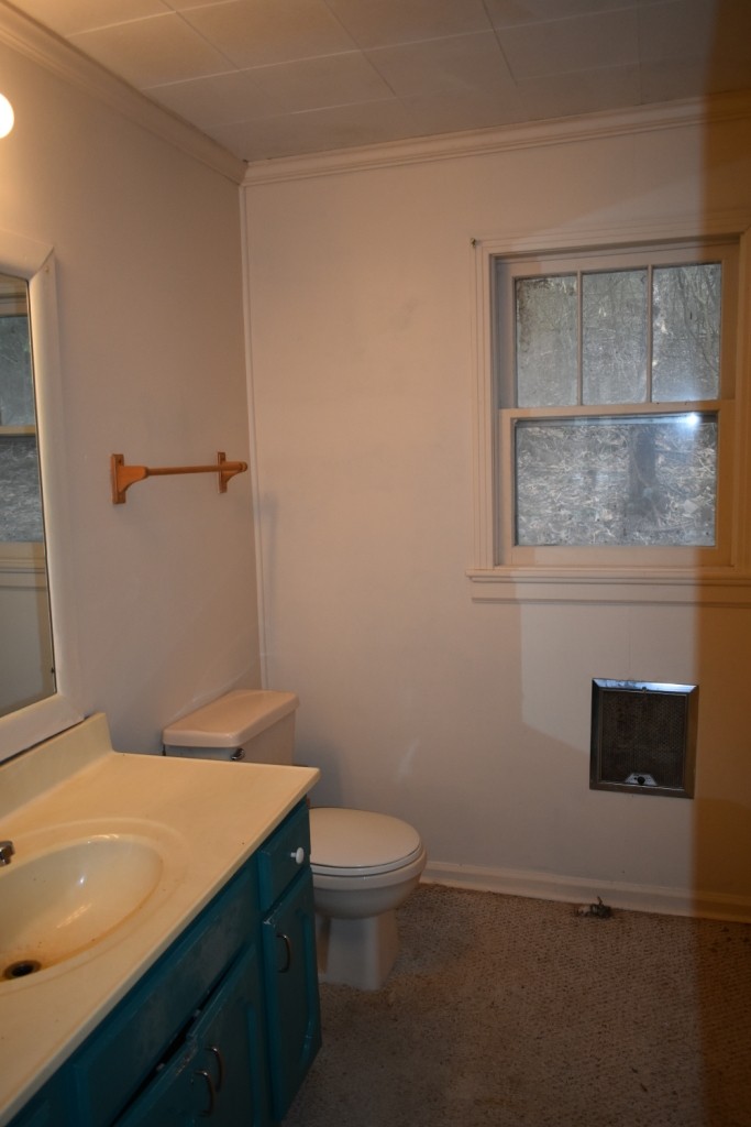 293 Enigma Road Chestnut Mound, TN 38552 - Photo 8 of 13 a bathroom with a sink a toilet and shower