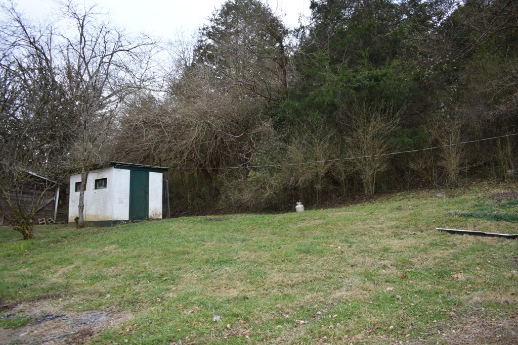 293 Enigma Road Chestnut Mound, TN 38552 - Photo 10 of 13 a view of a tiny house with a yard