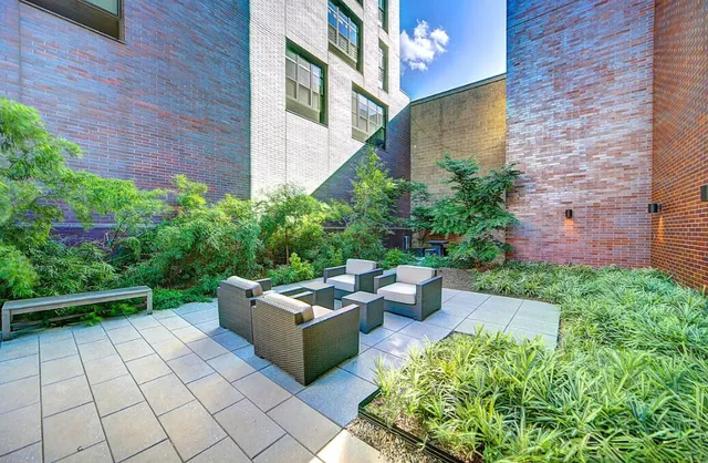 a view of a patio with couches and plants