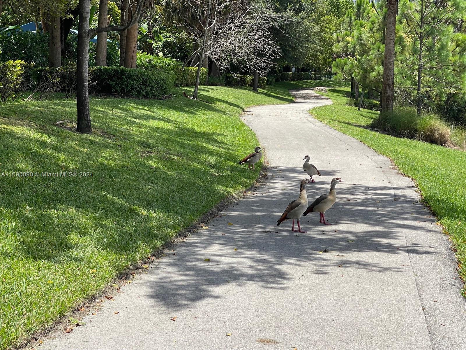 Hillcrest Hollywood, FL 33021 - Photo 22 of 29 a view of a park with a slide