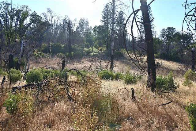a view of a lake from a yard