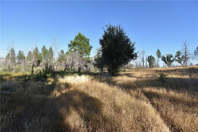 a view of a lake from a yard