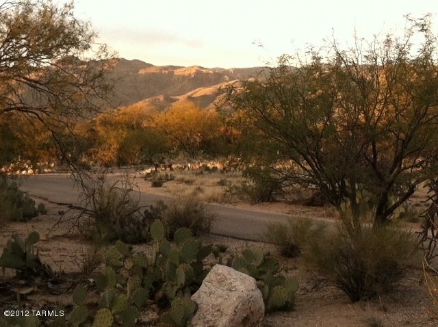 2901 North Wentworth Road Tucson, AZ 85749 - Photo 3 of 7 Gallery Image 3