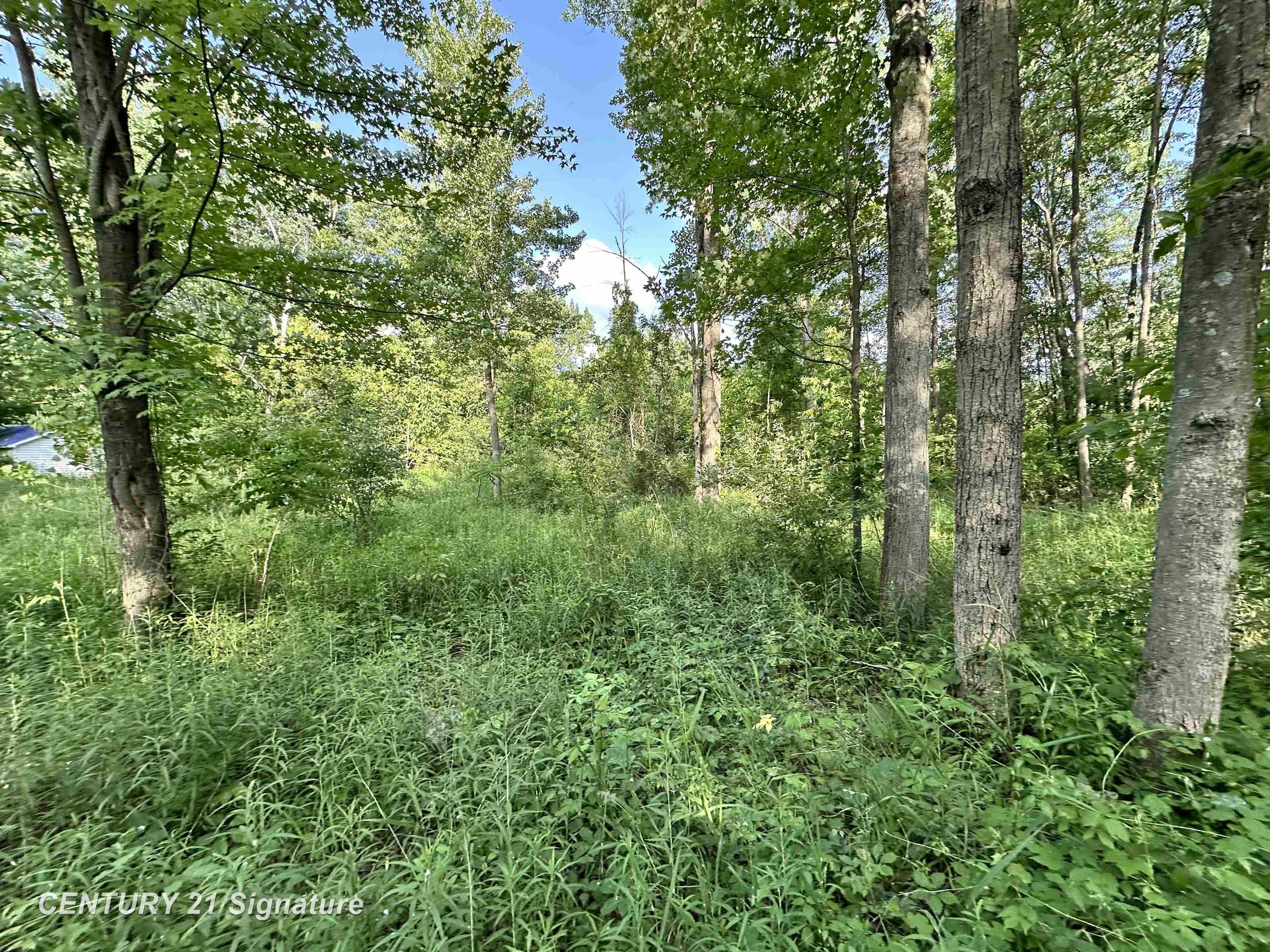 4020 Wieman Road Beaverton, MI 48612 - Photo 5 of 17