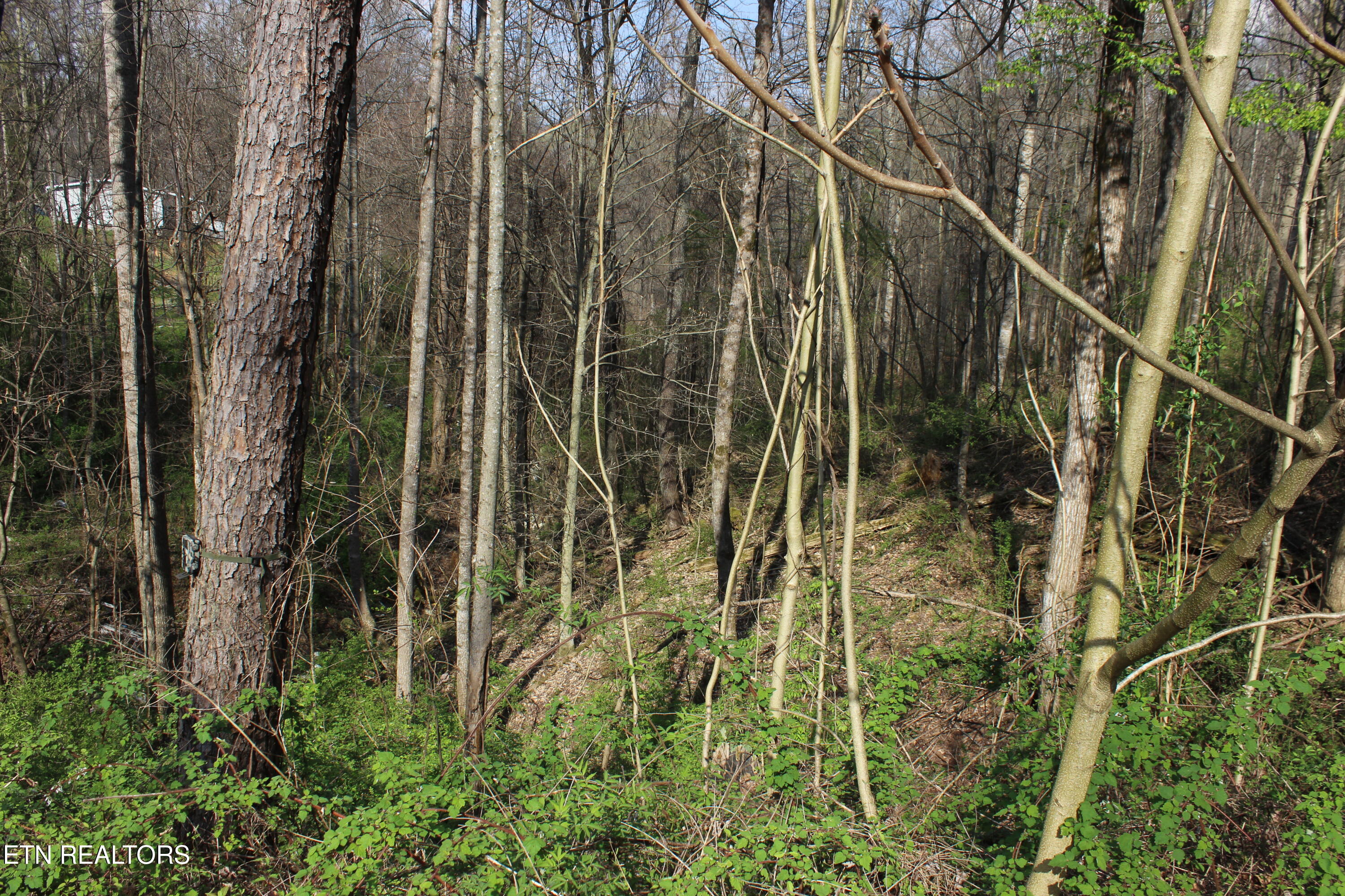 8710 Childress Road Powell, TN 37849 - Photo 5 of 5 IMG_1207