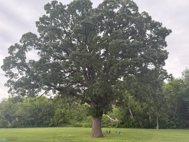 $209,900 | 209 Lincoln Avenue Northeast, Twin Valley, MN 56584