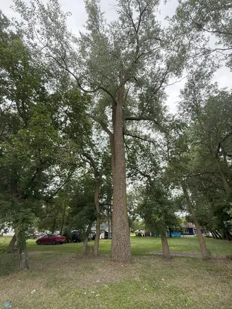 $199,900 | 209 Lincoln Avenue Northeast, Twin Valley, MN 56584