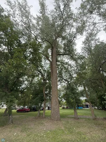 $209,900 | 209 Lincoln Avenue Northeast, Twin Valley, MN 56584