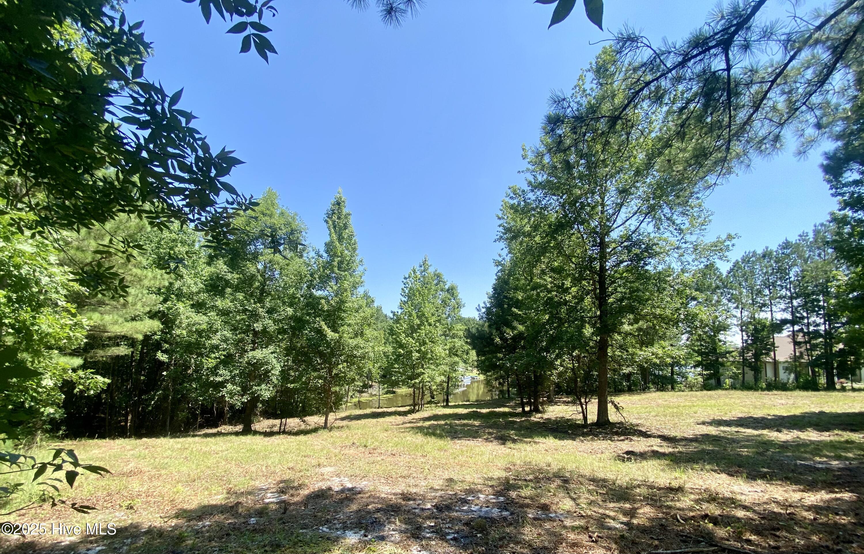 291 Gails Road West End, NC 27376 - Photo 3 of 10 view from upper lot