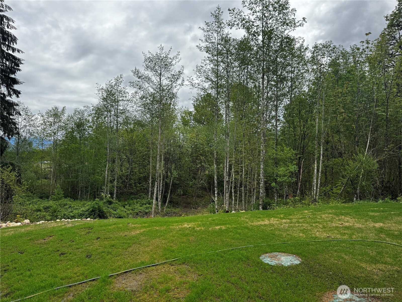 8657 Trillium Lane Concrete, WA 98237 - Photo 25 of 28 a view of a park
