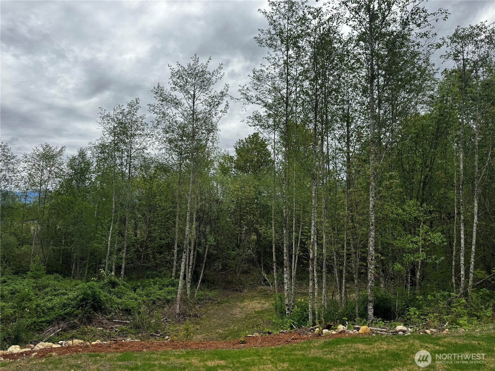 8657 Trillium Lane Concrete, WA 98237 - Photo 27 of 28 a view of a forest with a house
