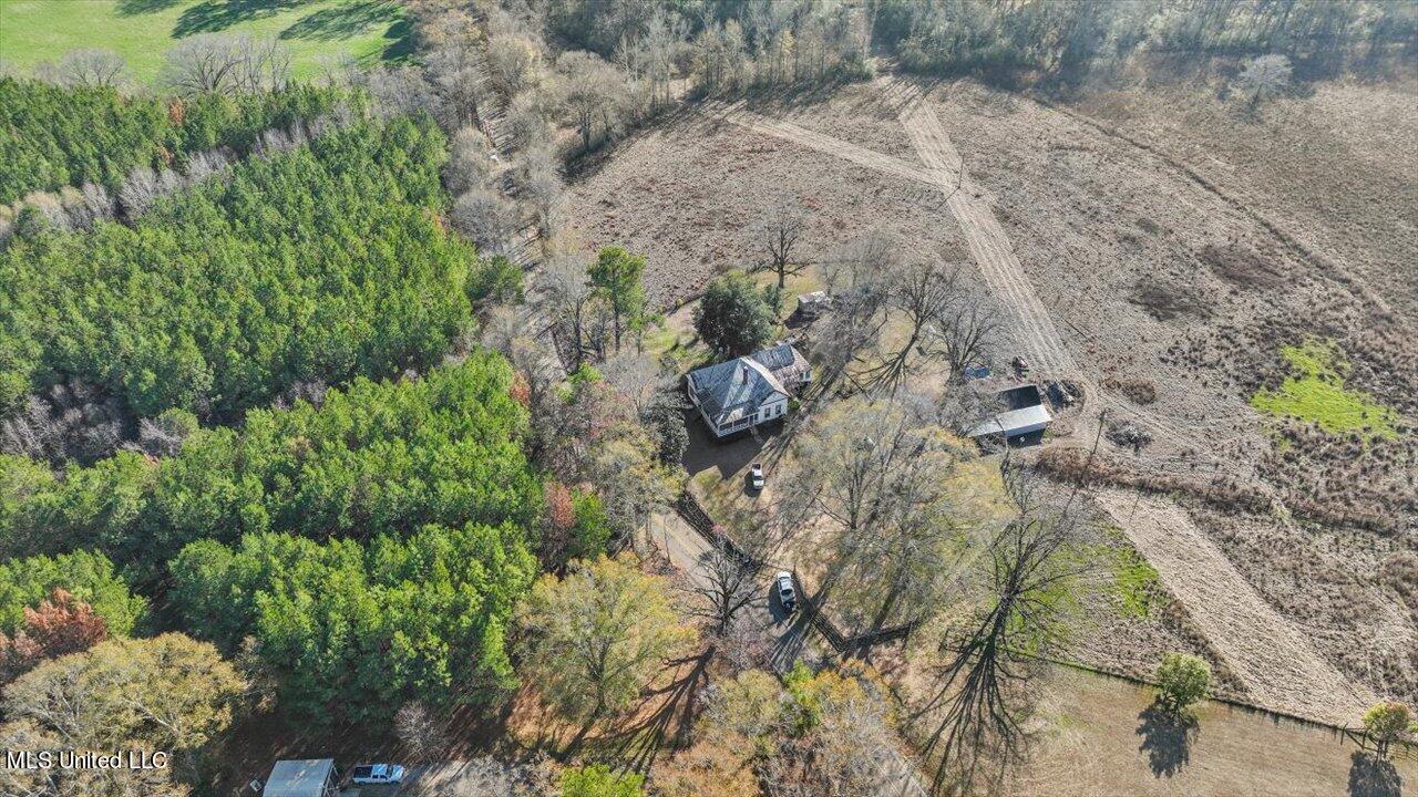 522 Gill Road Brandon, MS 39042 - Photo 51 of 57 52-522 Gill Rd