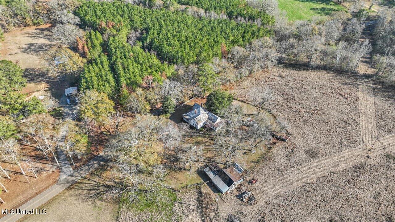 522 Gill Road Brandon, MS 39042 - Photo 53 of 57 54-522 Gill Rd