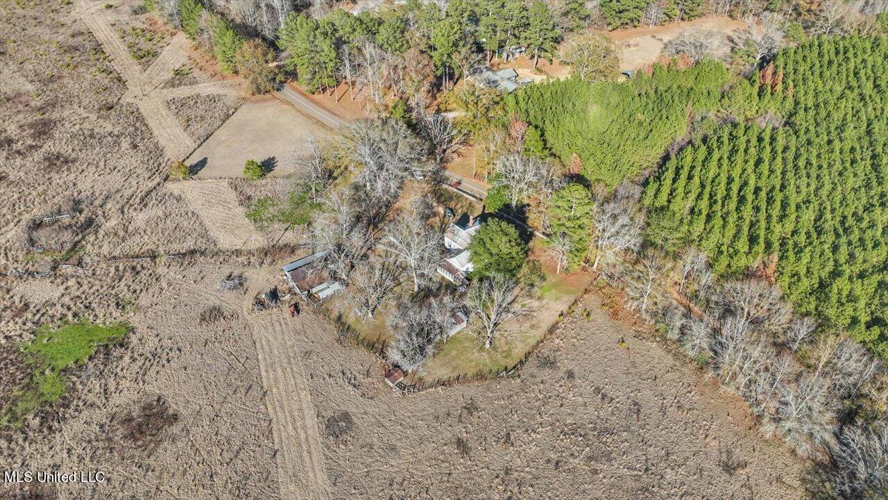 522 Gill Road Brandon, MS 39042 - Photo 55 of 57 56-522 Gill Rd