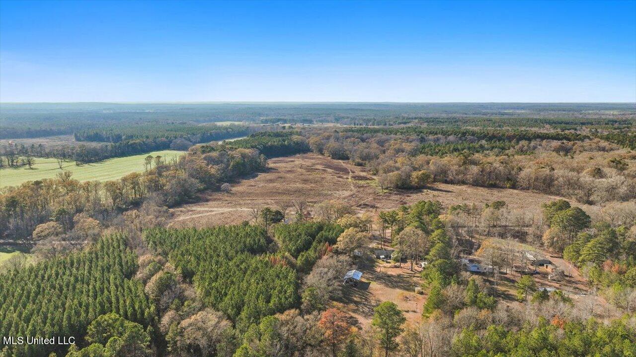 522 Gill Road Brandon, MS 39042 - Photo 56 of 57 57-522 Gill Rd